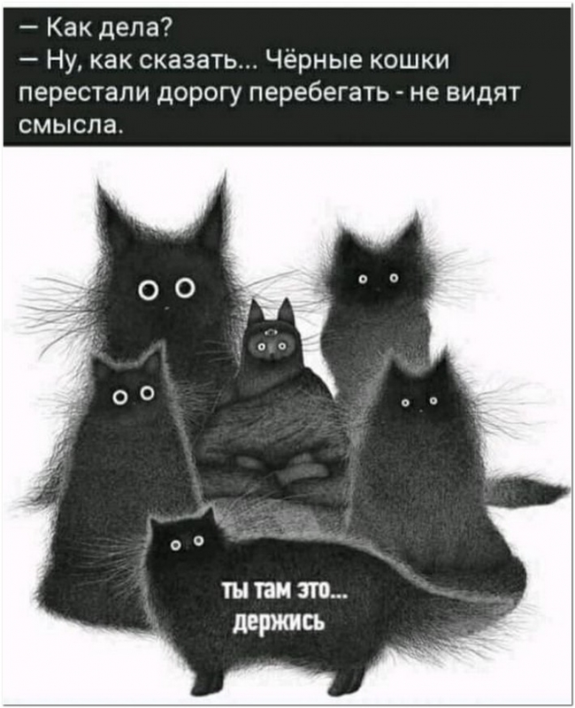 Смешные картинки для вашего внимания и отличного н - «Фото приколы»