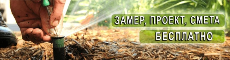 Решение проблемы частоты полива и экономия воды
