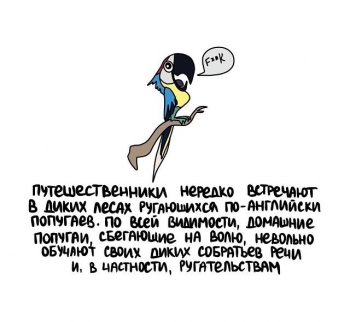 Свежая подборка познавательной информации на с - «Фото приколы»