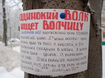 Подборка смешных объявлений, которые можно встре - «Фото приколы»
