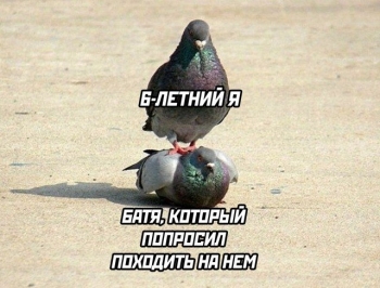 Подборка прикольных картинок и фотографий на 7 - «Фото приколы»