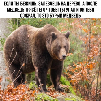 Забавный коротенький гайд о том, как с легкостью разобраться - «Фото приколы»