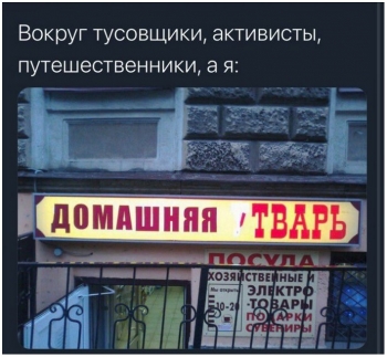 Прикольные фотки в очередной подборке. - «Фото приколы»
