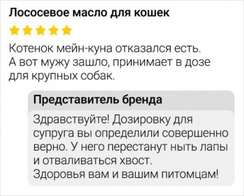 Сейчас большинство из нас читает отзывы в инте - «Фото приколы»