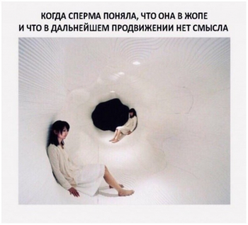 Смешные фотографии с комментариям для отличного настроения в конце н - «Фото приколы»